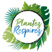 Platan